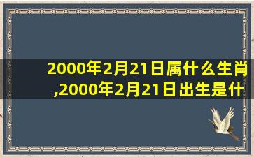 2000年2月21日属什么生肖,2000年2月21日出生是什 🐒 么命 ☘